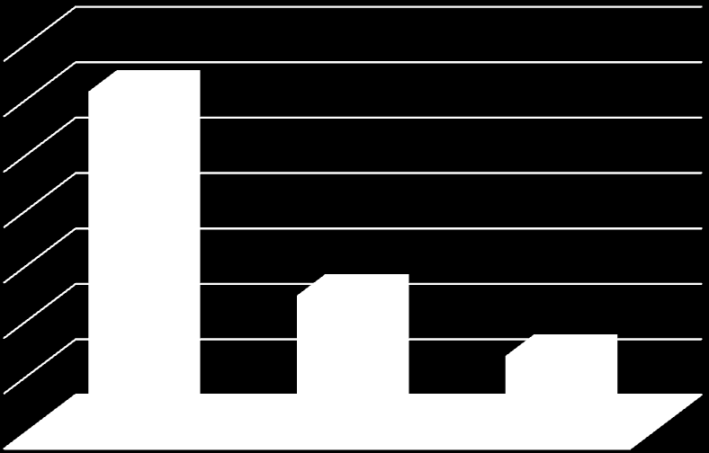 SETTORE RESIDENZIALE 61,50% 24,70% 13,80% edifici contigui ad altre