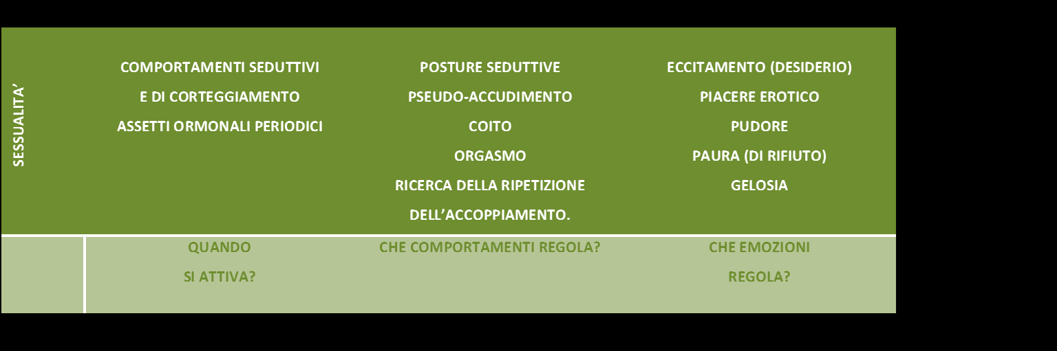 SESSUALITA (DI COPPIA) Il sistema motivazionale interpersonale sessuale è finalizzato alla formazione e al mantenimento della coppia sessuale con il valore biologico della riproduzione e del