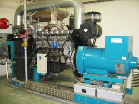 Possibili impieghi del biogas Produzione di energia elettrica mediante combustione in motori di gruppi elettrogeni o