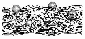 SEPARAZIONE DI FASE 1 Sono tecniche che servono per separare miscele eterogenee solidoliquido: filtrazione e centrifugazione.