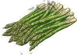 Aglio nuovo, asparagi, barbabietole, bietole, carote, cicorie e cicorini, cipolle, coste, fagioli, fagiolini, finocchi, fave, fiori di zucca, indivie, lattughe e lattughini, patate, piselli,