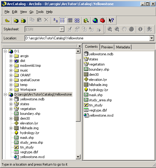 NAVIGAZIONE Le icone indicano le directory e il tipo di dati Si può lavorare nell albero del Catalog o nel tab Contents Si possono vedere le