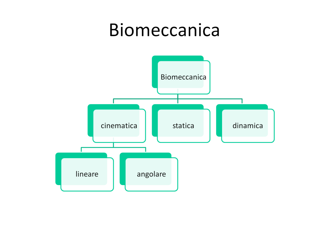 Suddivisione classica della biomeccanica: 1.