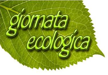 12. Partecipazione alla Giornata Ecologica 2014 e 2015 Un gruppo