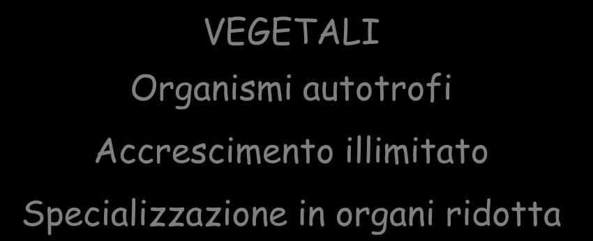 Differenze imputabili a piani organizzativi diversi ANIMALI Organismi eterotrofi Accrescimento limitato Specializzazioni morfologiche complesse VEGETALI Organismi autotrofi Accrescimento illimitato