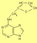 La prima Citochinina fu isolata dallo sperma di aringa nel 1955 da Miller : Un composto attivo ottenuto per parziale degradazione del DNA mediante calore.