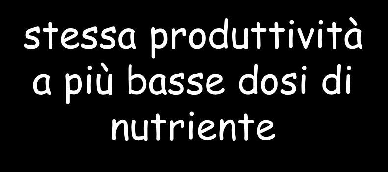 selezione genetica maggiore produttività alla stessa dose