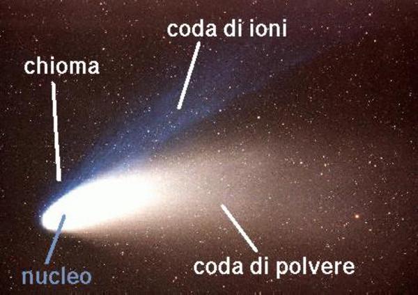 della cometa; il gas, più sensibile al vento solare, forma una coda diritta, in direzione opposta al Sole, seguendo le