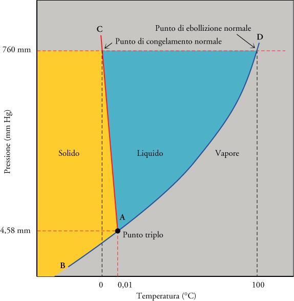 DIAGRAMMI DI FASE E possibile costruire un grafico pressione-temperatura in cui ogni punto del grafico rappresenta uno stato (fase o equilibrio di fase) in cui può trovarsi una sostanza.