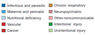 Distribuzione percentuale del