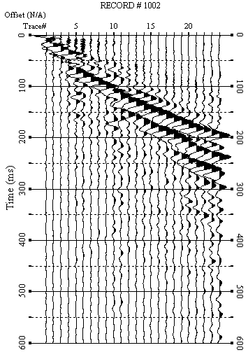 Fig. 15 Sismogrammi relativi all indagine Sismica MASW n. 1: acquisizione n.