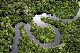 grandi cascate ORINOCO RIO DELLE AMAZZONI (Rio