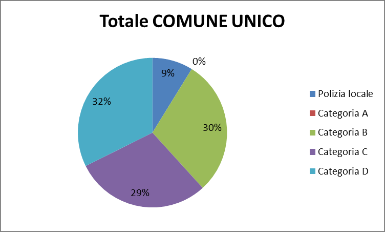 ANALISI DELLA STRUTTURA ORGANIZZATIVA E FINANZIARIA DELLE AMMINISTRAZIONI COMUNALI Scopo di questo paragrafo è quello di fornire un analisi preliminare delle caratteristiche funzionali dei quattro