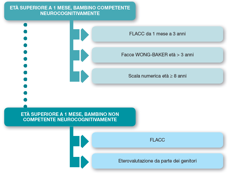 Sintesi utilizzo schede per area pediatrica: N.B.