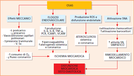 OSAS E