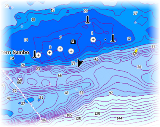 Opzioni cartografiche specifiche Jeppesen Orientamento, Guarda avanti, 3D e Sorgente Carta modifica, precedentemente descritti in questa sezione, sono comuni a tutti i tipi di carte.