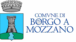 MARCA DA BOLLO 16,00 Al Comune di Borgo a Mozzano Servizio Assetto del Territorio Ufficio Edilizia RICHIESTA DI PERMESSO DI COSTRUIRE IN SANATORIA / ATTESTAZIONE DI CONFORMITA IN SANATORIA (Art.