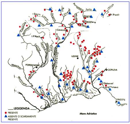 Situazione astacicola al 1996 da: G. De Luise (1987).