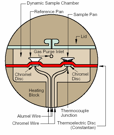 DSC Flusso Calore Il calore fluisce nel campione e nel riferimento attraverso una piattaforma termoelettrica di costantana riscaldata elettricamente La differenza tra i flussi di calore del