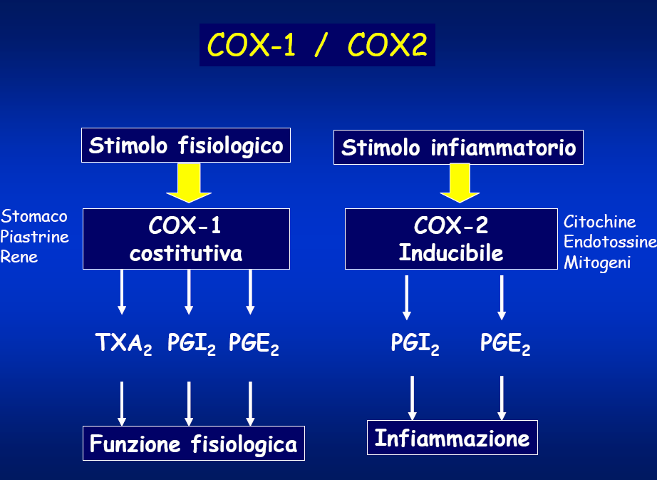 CLASSIFICAZIONE DEI FANS NON SELETTIVI COX-1/COX-2 Derivati di ac. Carbossilici 1.Salicilati Ac. Salicilico Ac. Acetilsalicilico 2.Acetici Diclofenac Indometacina Sulindac Ketorolac 3.