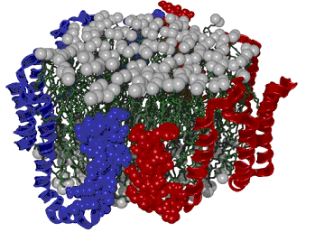 ApoA-I Proteina antiaterogenica Promuove l efflusso di colesterolo