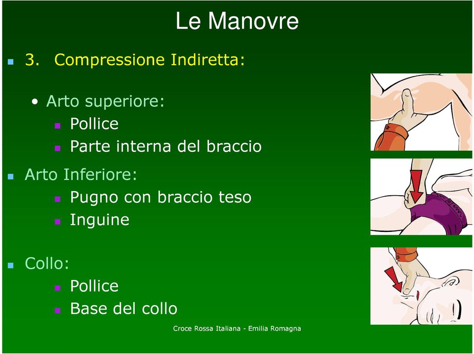 Pollice Parte interna del braccio Arto