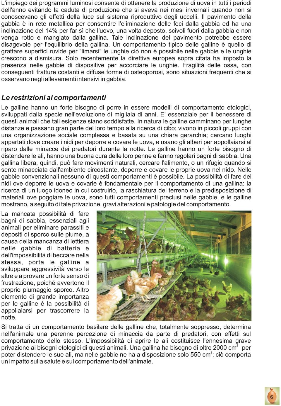 Il pavimento della gabbia è in rete metallica per consentire l'eliminazione delle feci dalla gabbia ed ha una inclinazione del 14% per far sì che l'uovo, una volta deposto, scivoli fuori dalla gabbia