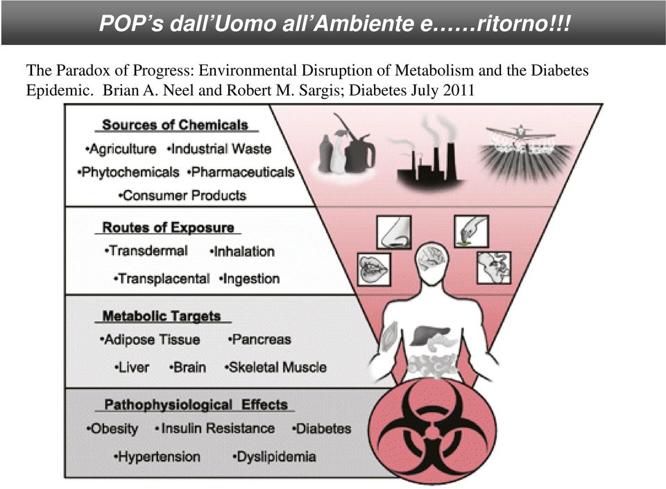 Disruption of Metabolism and the Diabetes