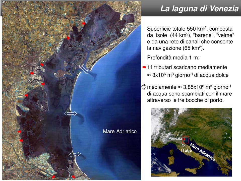 Profondità media 1 m; 11 tributari scaricano mediamente 3x1 6 m 3 giorno -1 di acqua dolce