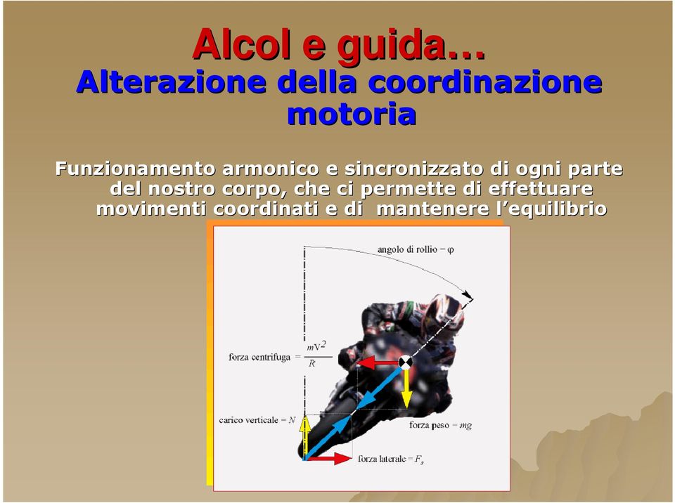 ogni parte del nostro corpo, che ci permette di