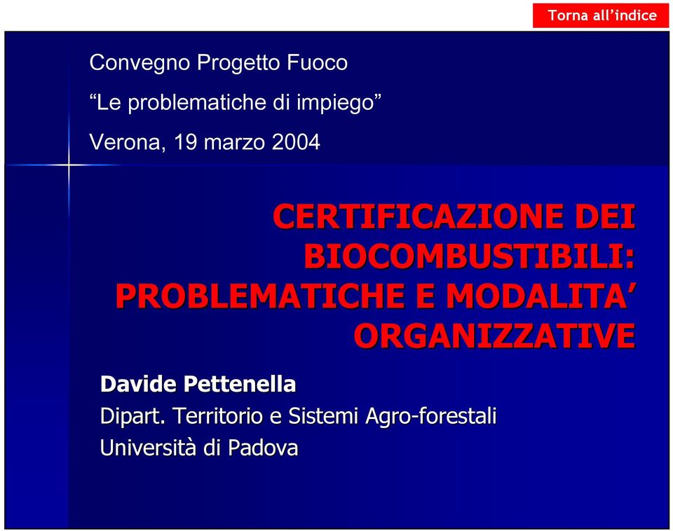 BIOCOMBUSTIBILI: PROBLEMATICHE E MODALITA ORGANIZZATIVE Davide