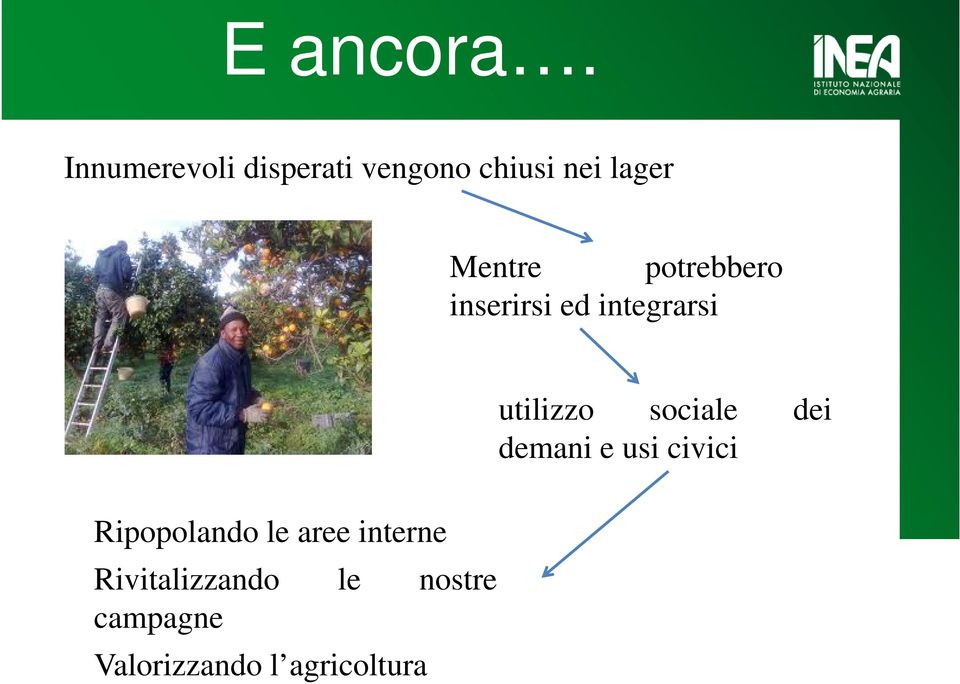 potrebbero inserirsi ed integrarsi Ripopolando le aree