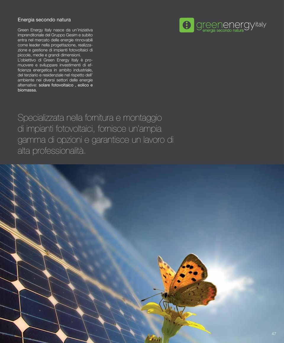 L obiettivo di Green Energy Italy è promuovere e sviluppare investimenti di efficienza energetica in ambito industriale, del terziario e residenziale nel rispetto dell