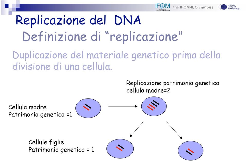 Replicazione patrimonio genetico cellula madre=2 Cellula