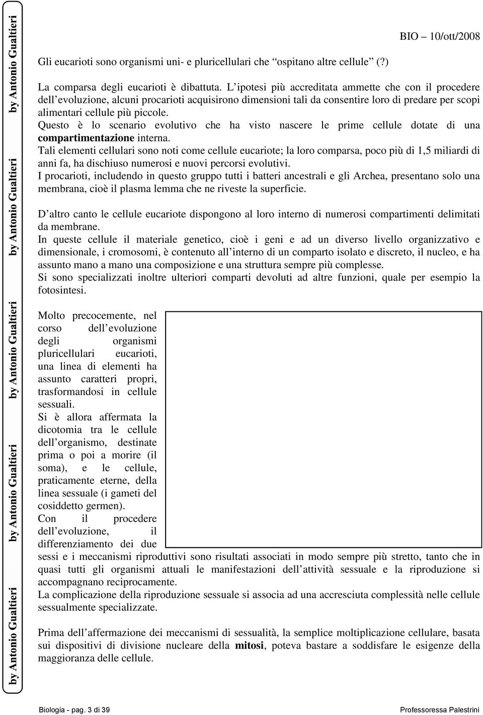 Questo è lo scenario evolutivo che ha visto nascere le prime cellule dotate di una compartimentazione interna.