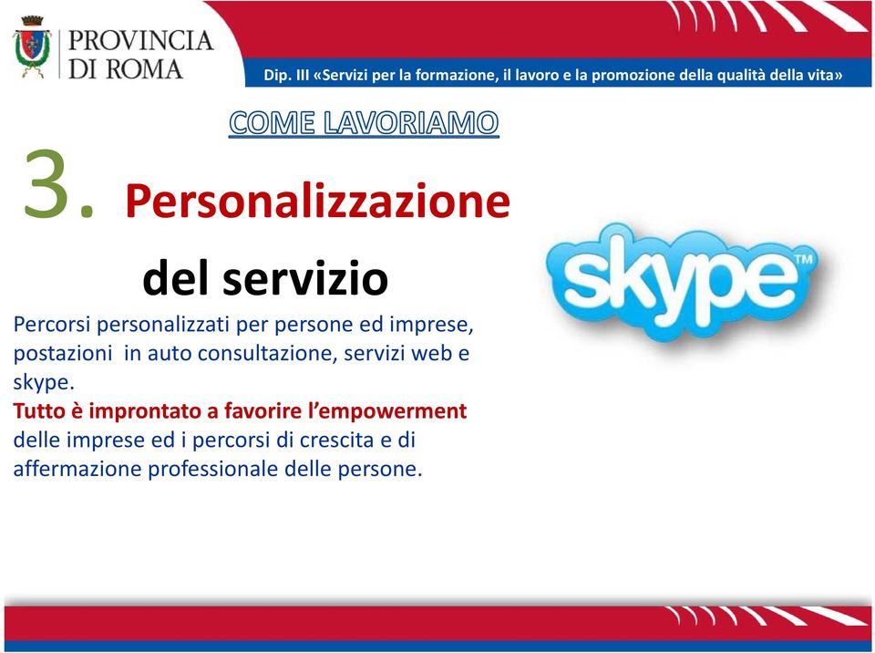 consultazione, servizi web e skype.