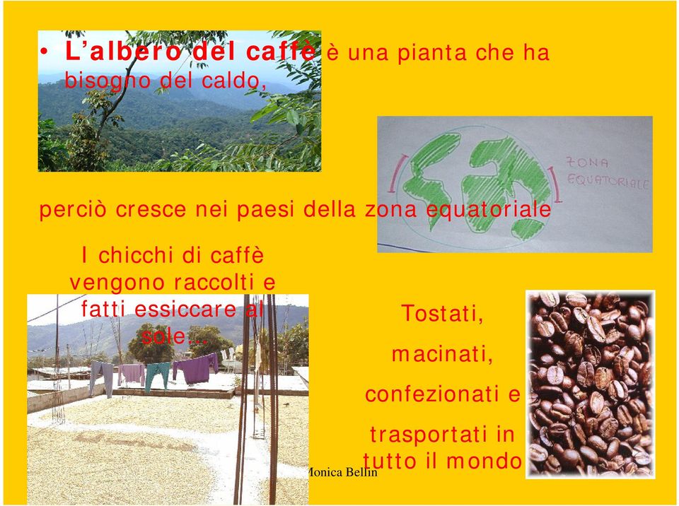 di caffè vengono raccolti e fatti essiccare al sole