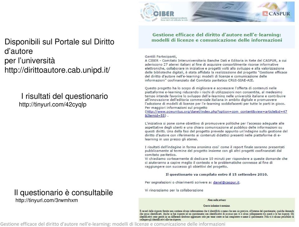 com/42cyqlp Il questionario è consultabile http://tinyurl.