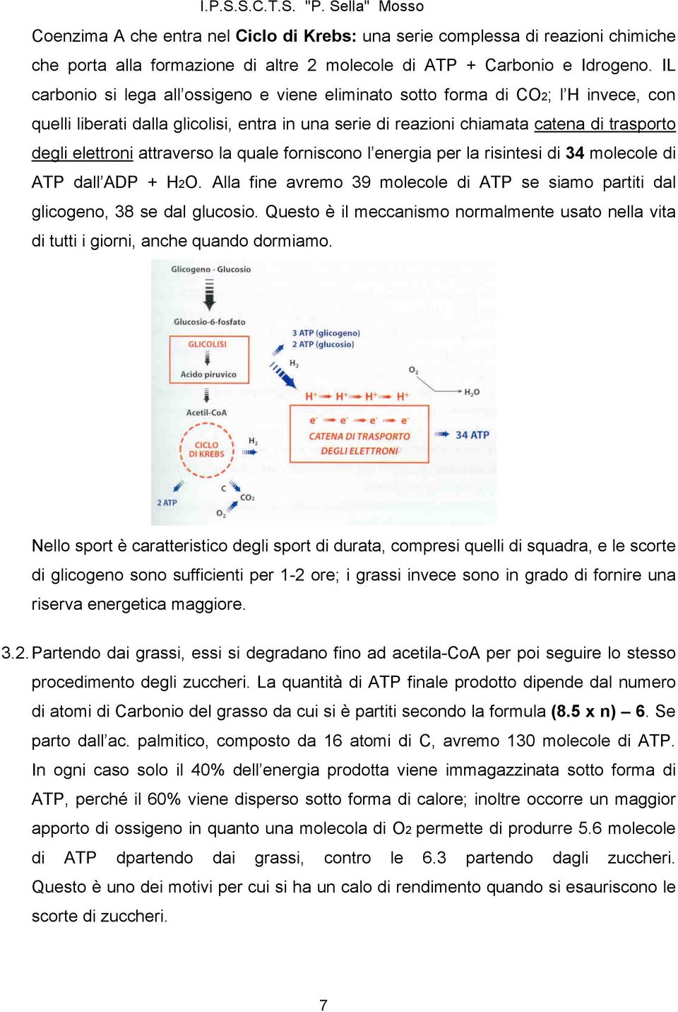 attraverso la quale forniscono l energia per la risintesi di 34 molecole di ATP dall ADP + H2O. Alla fine avremo 39 molecole di ATP se siamo partiti dal glicogeno, 38 se dal glucosio.