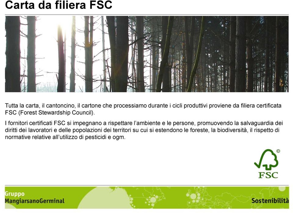 I fornitori certificati FSC si impegnano a rispettare l ambiente e le persone, promuovendo la salvaguardia dei