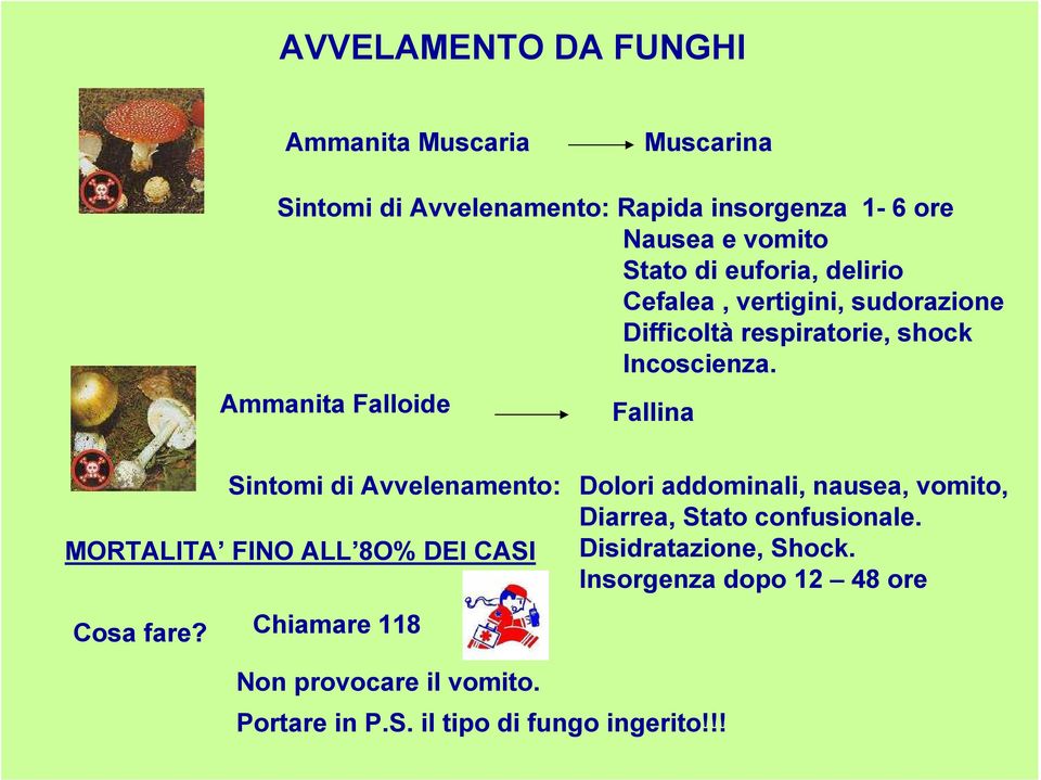 Ammanita Falloide Fallina Sintomi di Avvelenamento: Dolori addominali, nausea, vomito, Diarrea, Stato confusionale.