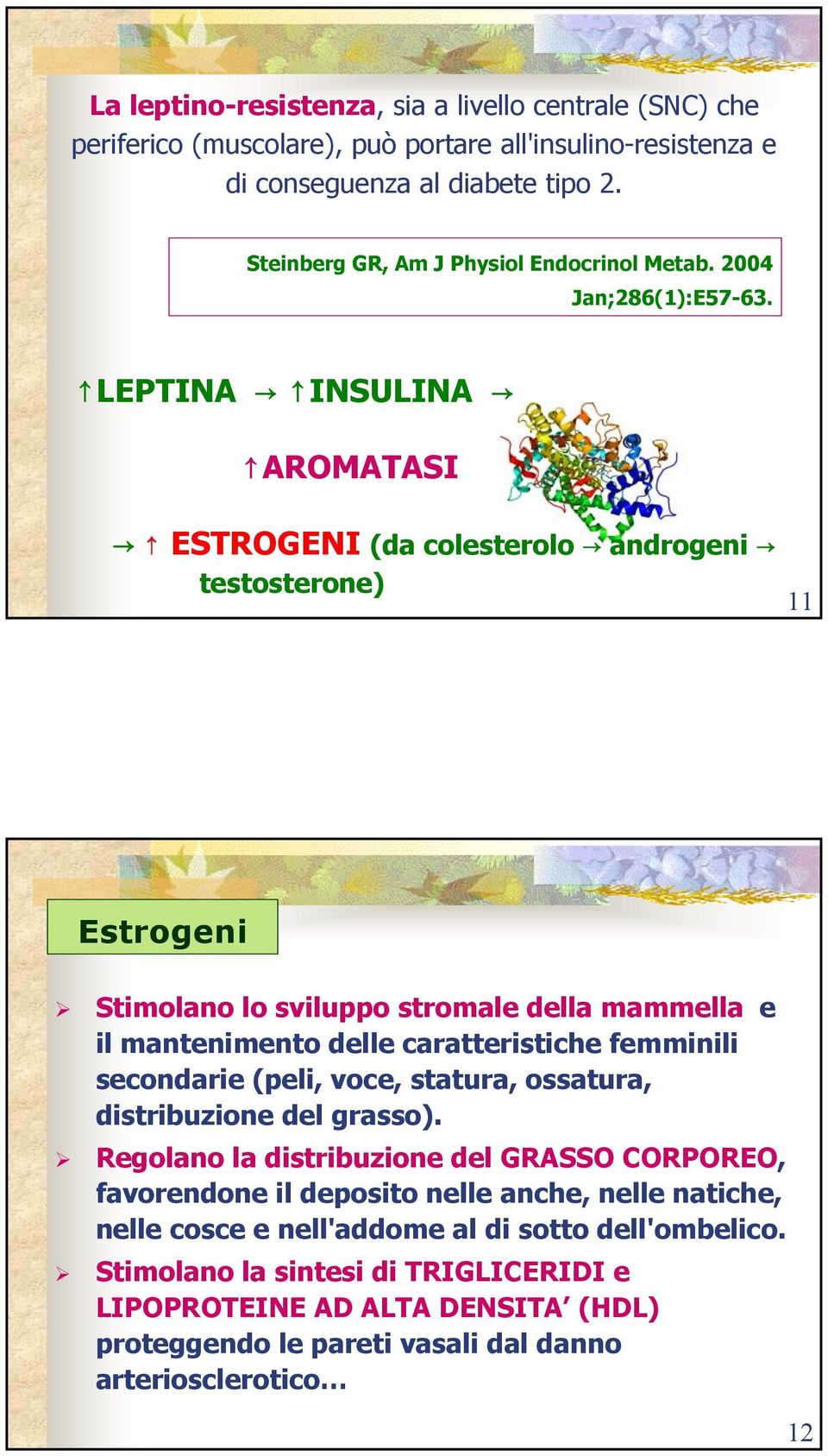 LEPTINA INSULINA AROMATASI ESTROGENI (da colesterolo androgeni testosterone) 11 Estrogeni Stimolano lo sviluppo stromale della mammella e il mantenimento delle caratteristiche femminili