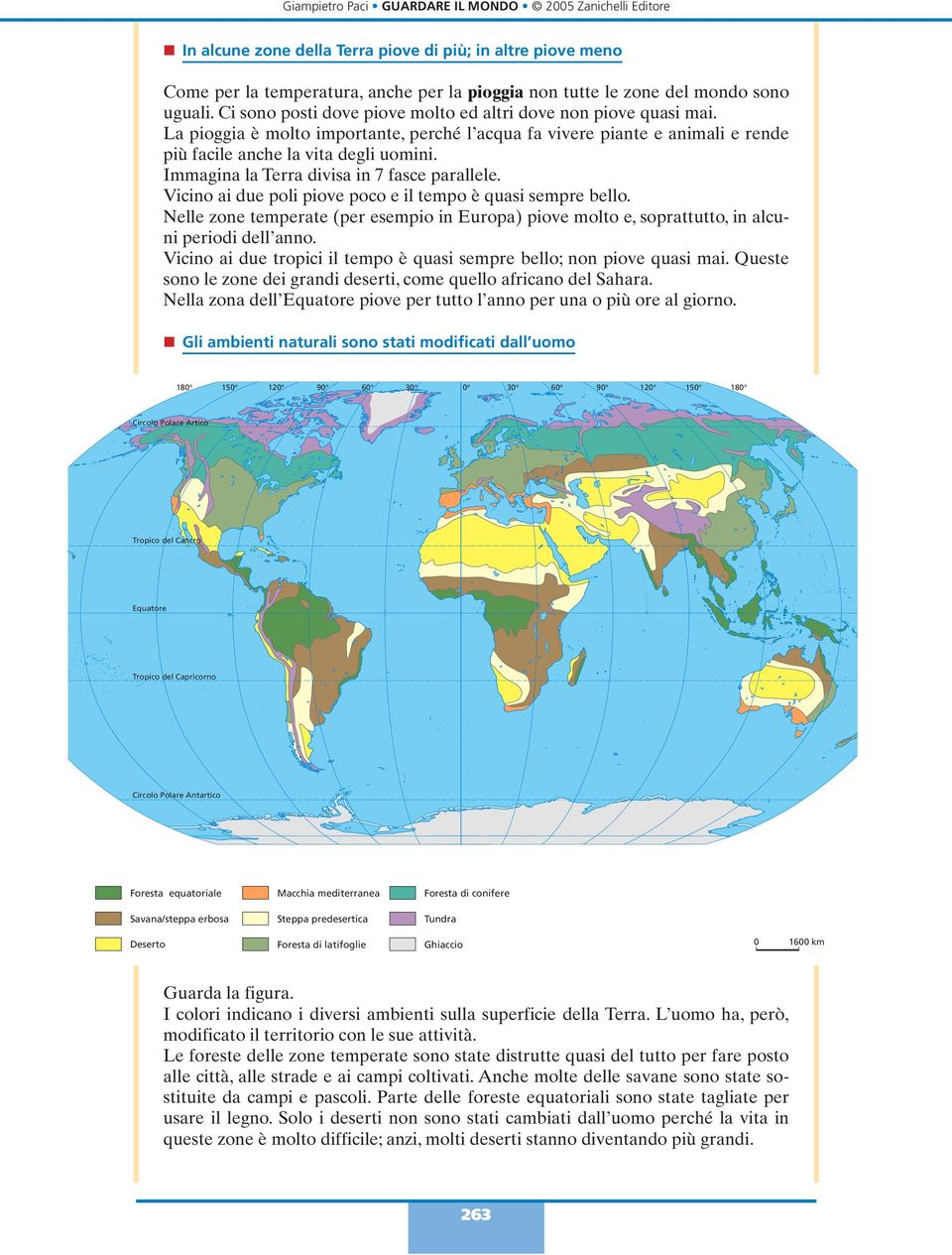 Immagina la Terra divisa in 7 fasce parallele. Vicino ai due poli piove poco e il tempo è quasi sempre bello.