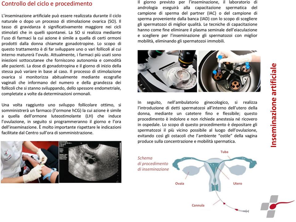 La SO si realizza mediante l uso di farmaci la cui azione è simile a quella di certi ormoni prodotti dalla donna chiamate gonadotropine.