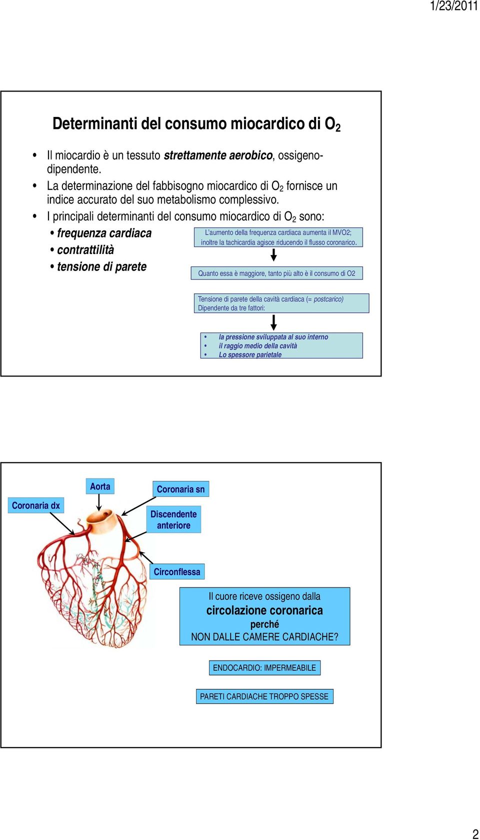 I principali determinanti del consumo miocardico di O 2 sono: frequenza cardiaca contrattilità tensione di parete L aumento della frequenza cardiaca aumenta il MVO2; inoltre la tachicardia agisce