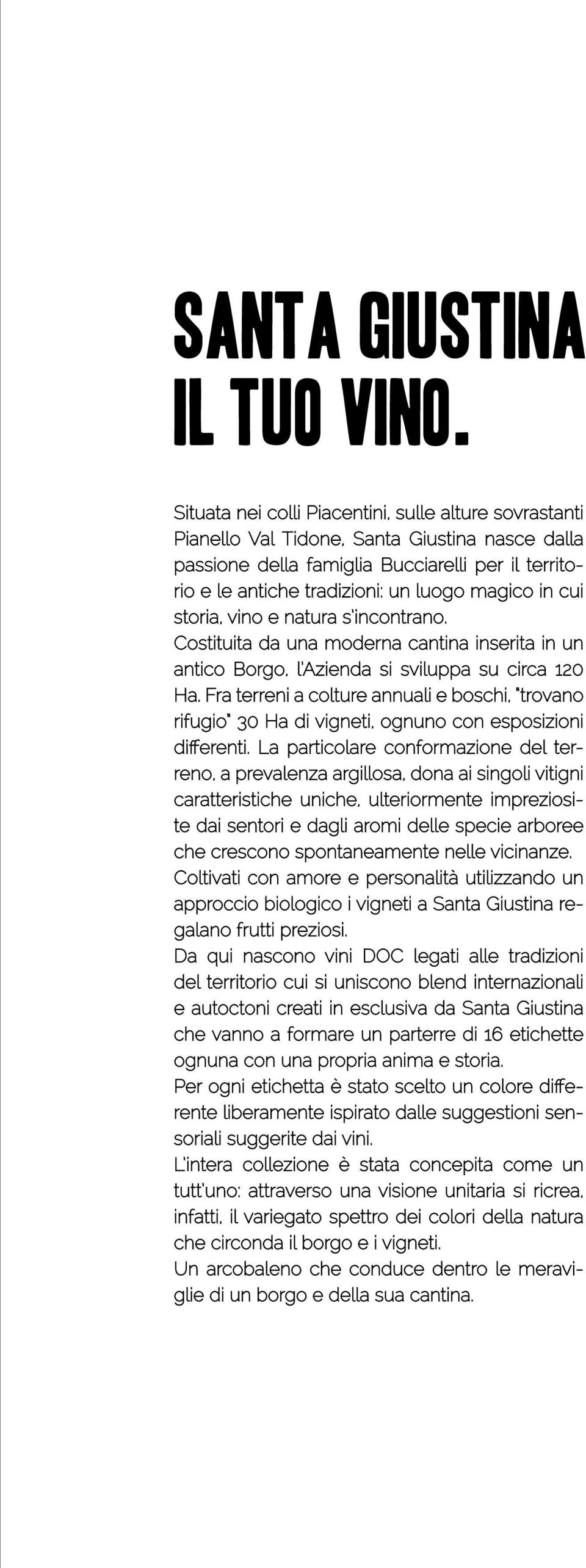 in cui storia, vino e natura s incontrano. Costituita da una moderna cantina inserita in un antico Borgo, l Azienda si sviluppa su circa 120 Ha.