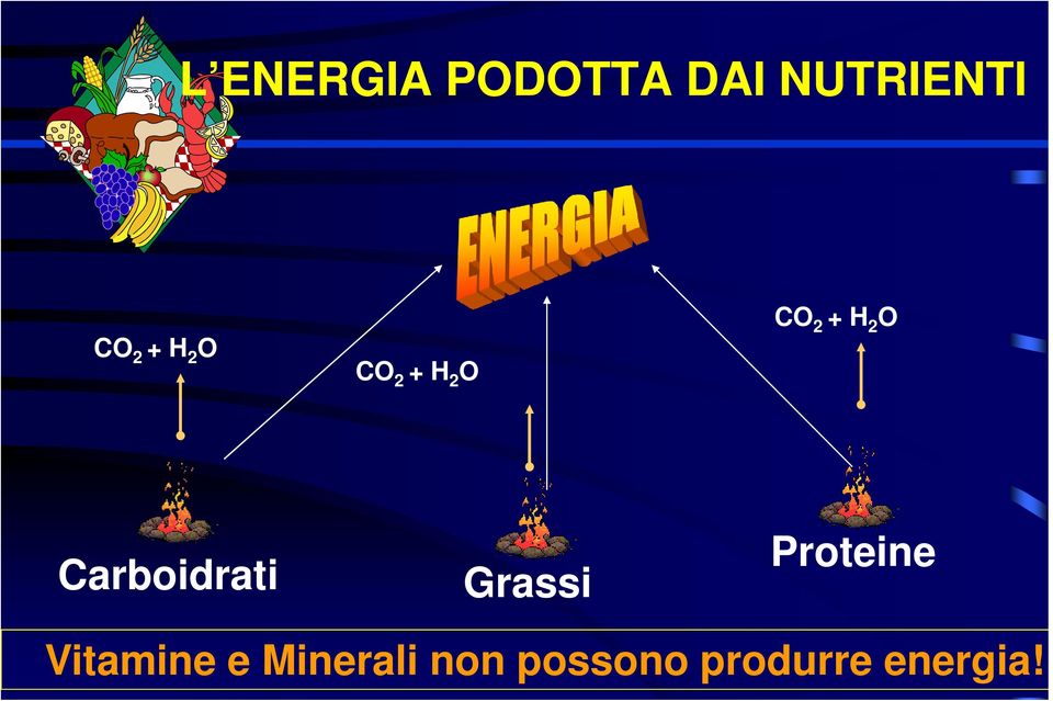 Carboidrati Grassi Proteine Vitamine