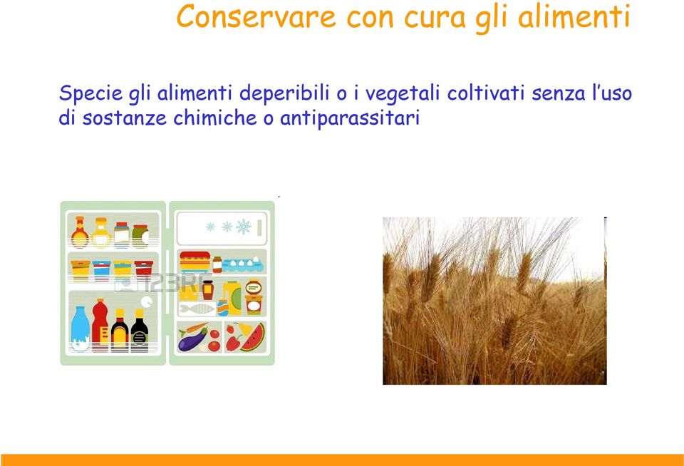 vegetali coltivati senza l uso di