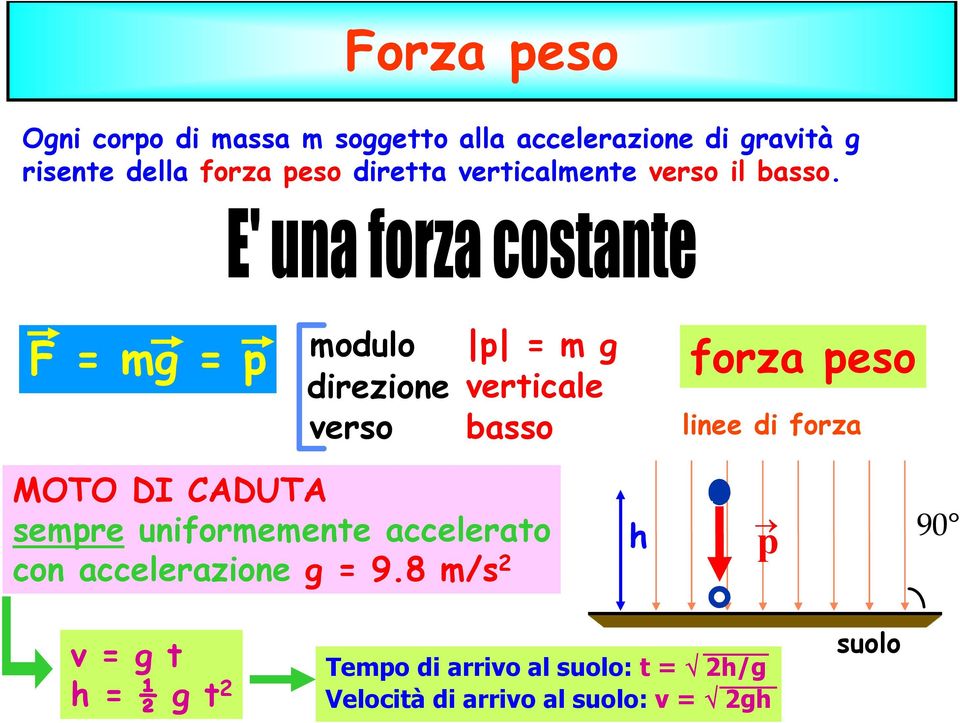 F = mg = p modulo direzione verso p = m g verticale basso forza peso linee di forza MOTO DI CADUTA