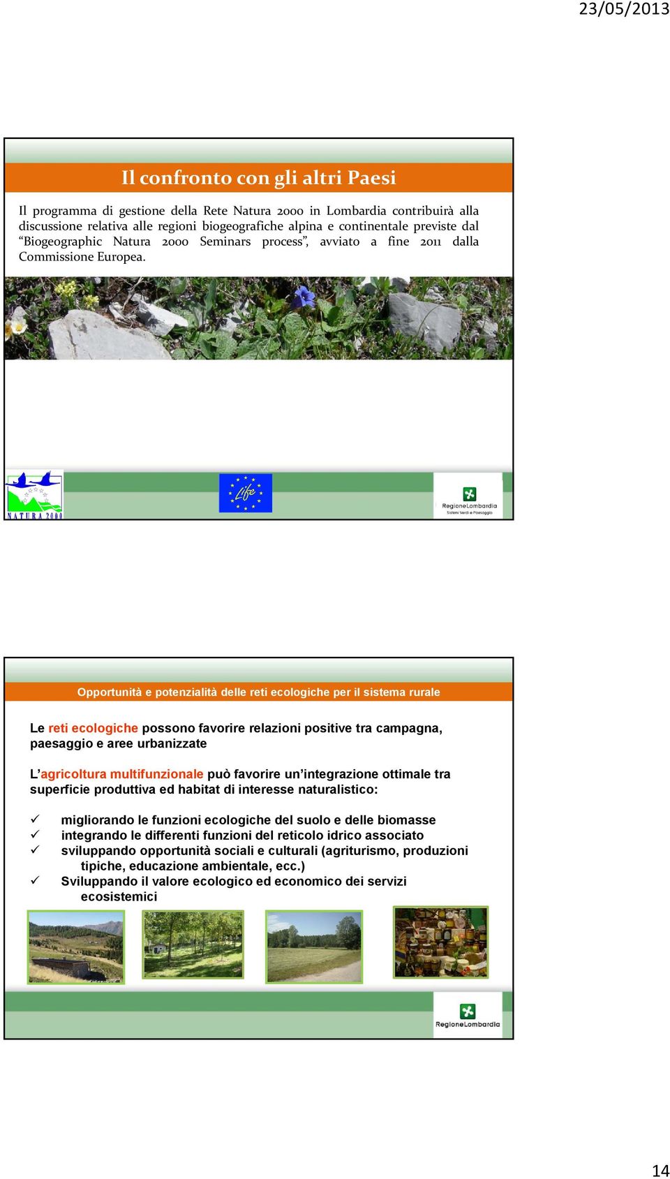 Opportunità e potenzialità delle reti ecologiche per il sistema rurale Le reti ecologiche possono favorire relazioni positive tra campagna, paesaggio e aree urbanizzate L agricoltura multifunzionale